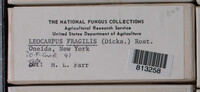 Image Associated With the Occurence